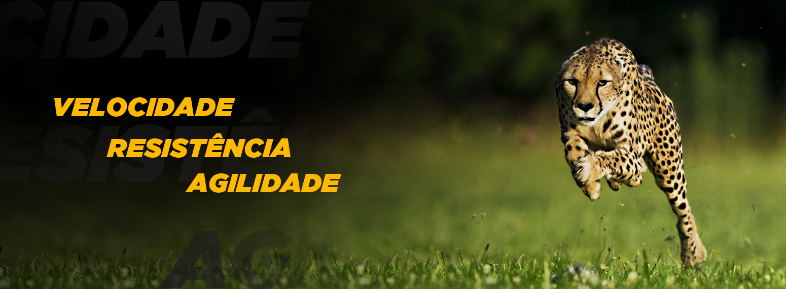 Imagem do carro